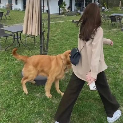派特和麦特：再度出击