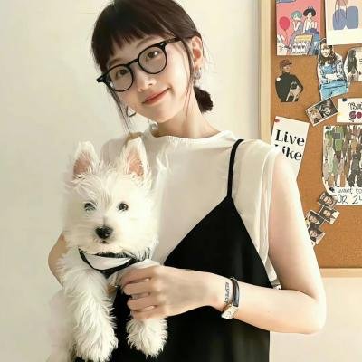 总统的蛋糕